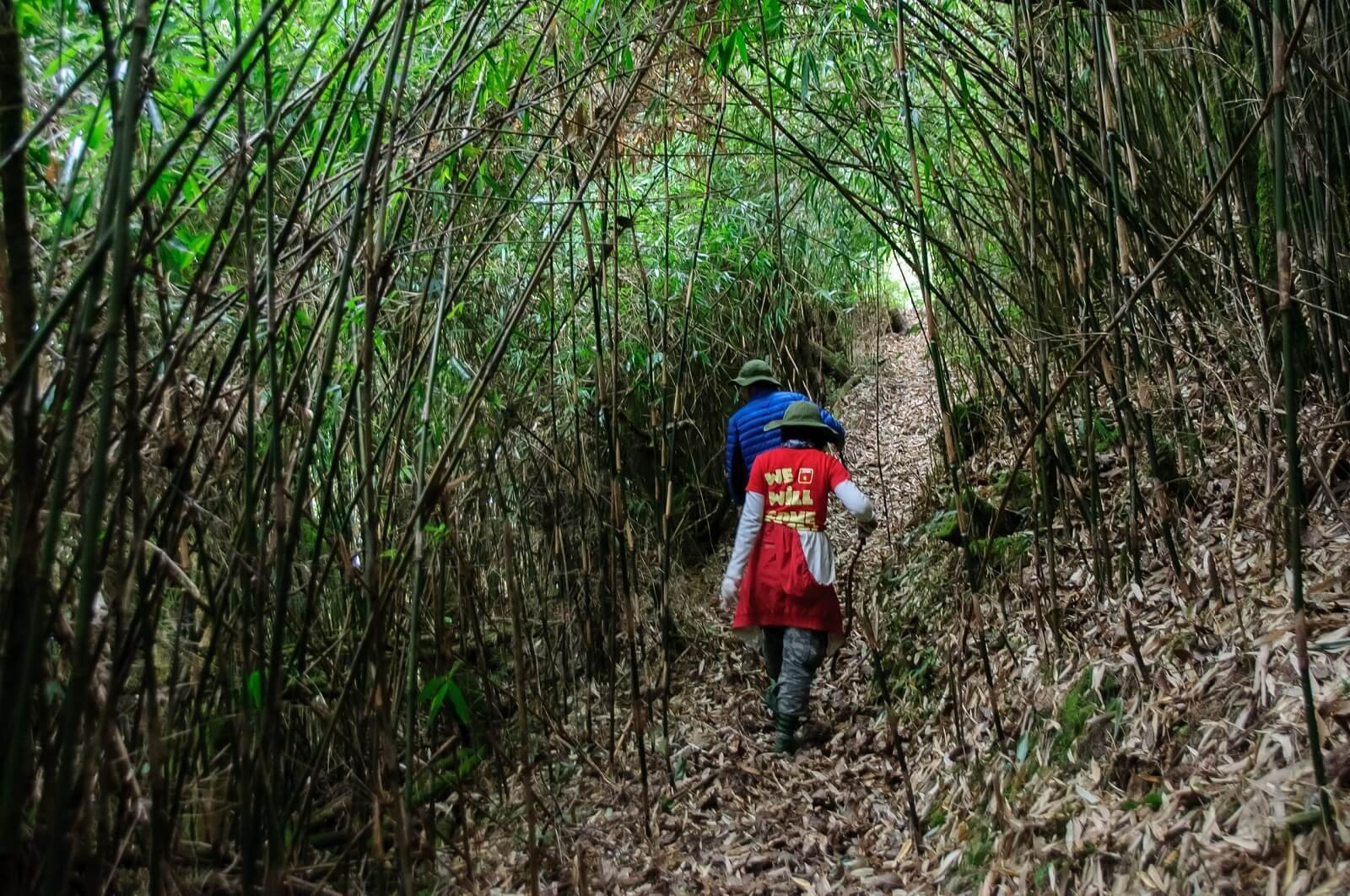 Hoang Su Phi Trekking from Hanoi 3 Days